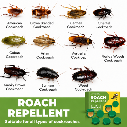 Roach Repellent Tablets – Keep Cockroaches Away🪳