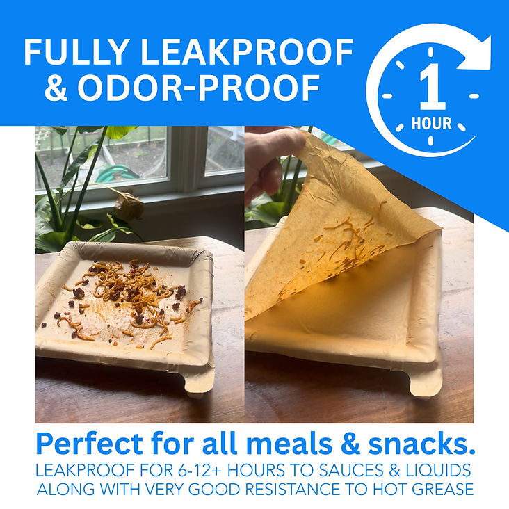 Reusable Disposible Plates