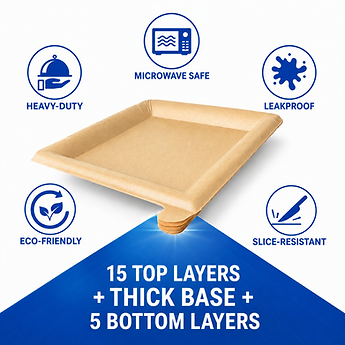 Reusable Disposible Plates