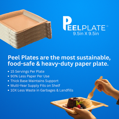 Reusable Disposible Plates