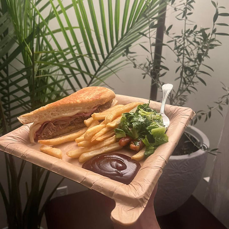 Reusable Disposible Plates