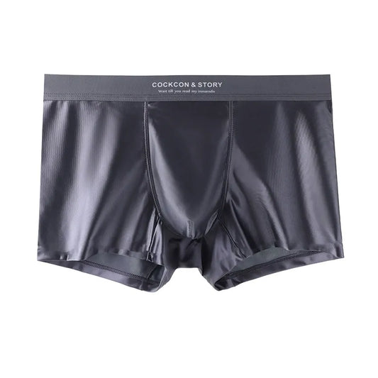 Luxury Mesh Ice Silk Underwear