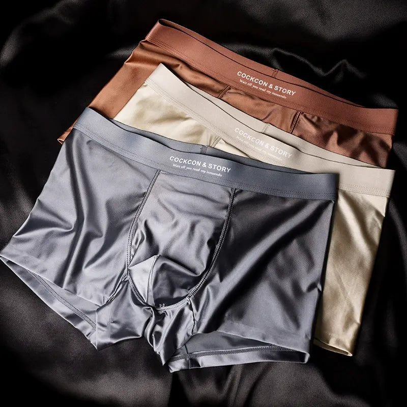 Luxury Mesh Ice Silk Underwear